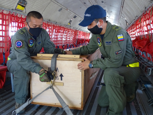 Misión regreso a casa para el cocodrilo encontrado en la Isla de San Andrés 