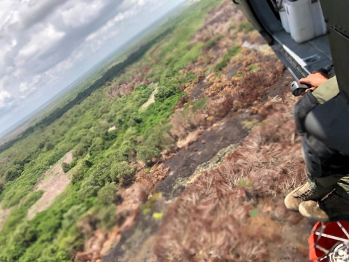 Las labores en el Parque Isla Salamanca, mitigaron por completo el incendio forestal