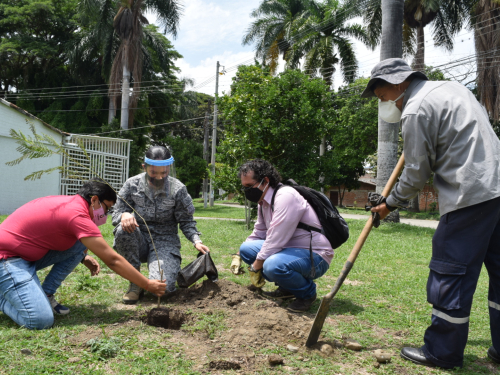 Nueva campaña de reforestación en Cerrito, Valle del Cauca