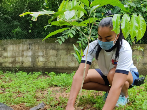 Su Fuerza Aérea apoya campaña de reforestación en el Archipiélago de San Andrés Islas