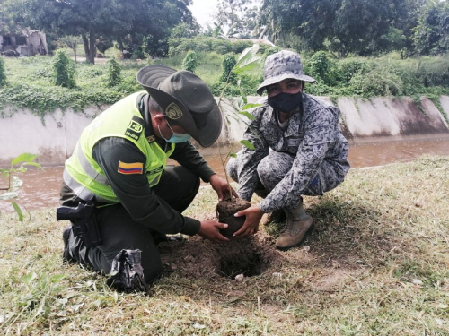 200 Árboles fueron sembrados en Sabanagrande