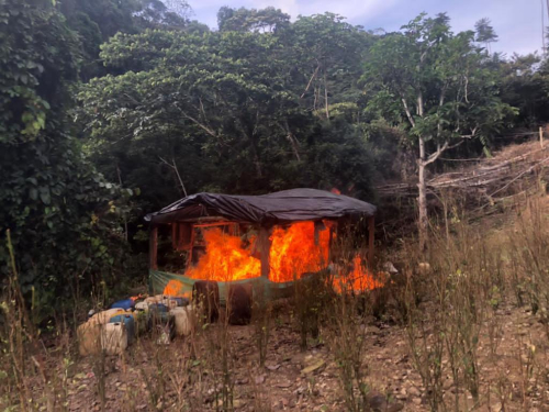 Once laboratorios ilegales que procesaban base de cocaína fueron destruídos en Antioquia