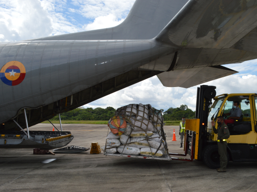 Proyecto productivo de su Fuerza Aérea, un aporte a la conservación del ambiente en el Amazonas  