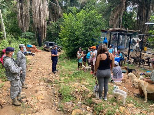 Jornada de esterilización en Melgar fue liderada por el CACOM 4