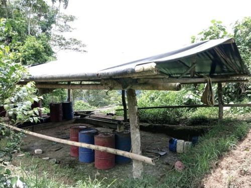 Veintidós laboratorios para el procesamiento de pasta base de coca, fueron destruidos en Chocó