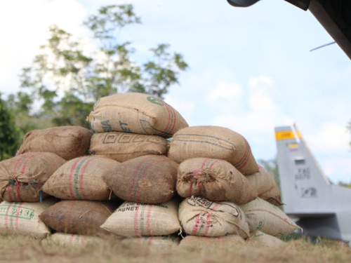 Cacao, el sinónimo del progreso en Vichada