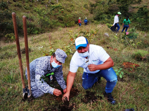 En Rionegro, fueron sembrados 600 nuevos árboles  