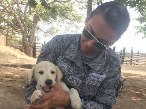 Rescatar perros, la segunda vocación de una oficial de su Fuerza Aérea Colombiana