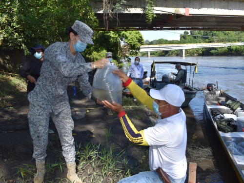 Más de 350 mil alevinos fueron liberados en el sector de Rio Negro con el apoyo de su Fuerza Aérea Colombiana 