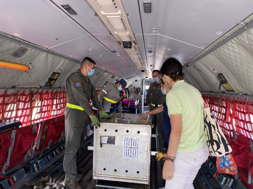 Papión de Manto, llegó a bordo de un C-295 a Barranquilla