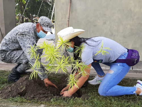 Jornada de embellecimiento y siembra de árboles en Yopal, gracias a su Fuerza Aérea