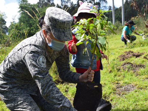 Cerca de 300 árboles fueron plantados por su Fuerza Aérea Colombiana