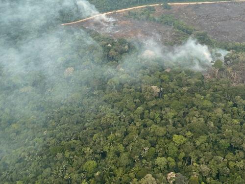 Riesgo por incendio forestal es vigilado por su Fuerza Aérea  Colombiana