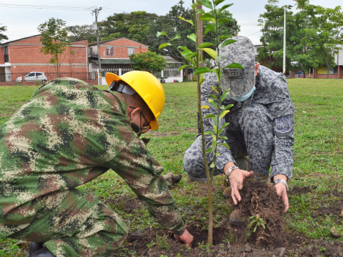 Primera Jornada ambiental en Palmira Valle del Cauca