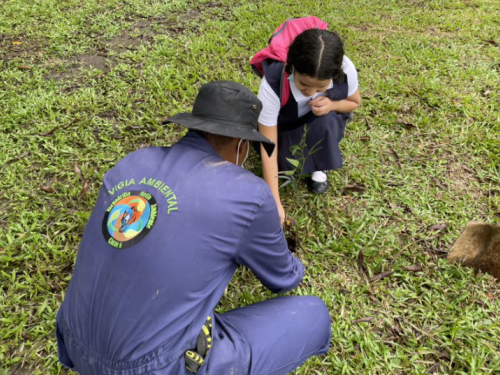 Jornada de reforestación fue liderada por su Fuerza Aérea en  Caquetá