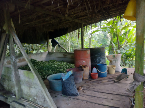 Nuevo golpe a Grupo Armado Organizado Residual en Putumayo