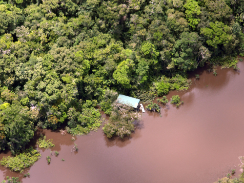Fuerzas Militares y de Policía detienen daño ambiental en Amazonas