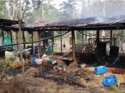 Operación conjunta afecta economía ilegal en Tibú, Norte de Santander