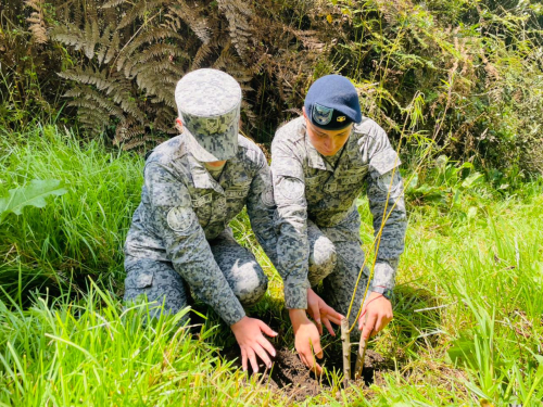 145 nuevos árboles fueron plantados por su Fuerza Aérea  Colombiana