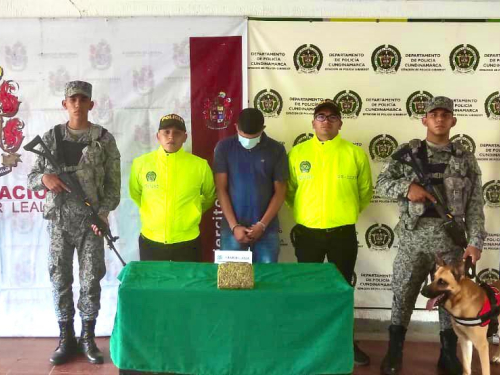 Contundente golpe contra el tráfico de estupefacientes en Flandes, Tolima