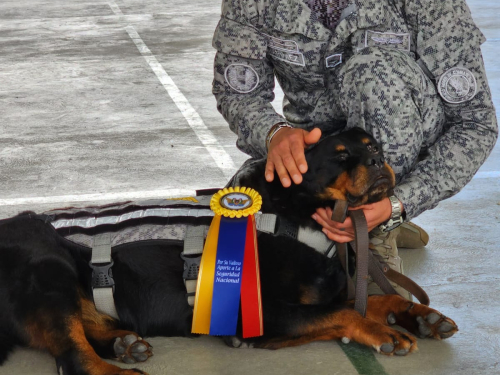 Se despide con honores una canino militar en el CACOM 5