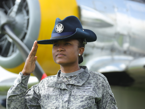 Drill instructor, guardianes de lo estándar en la educación militar 