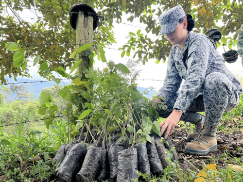 Fuerza Aérea Colombiana realiza operación ambiente verde en Villarrica, Tolima