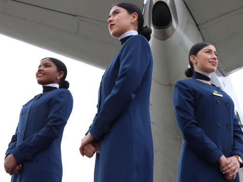 Tripulantes de Cabina de Pasajeros de su Fuerza Aérea, profesionalismo y asistencia en las alturas