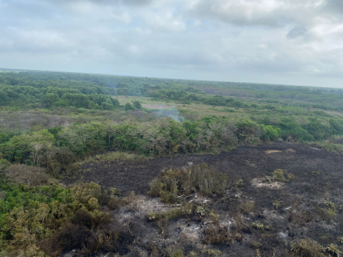 Se mantiene misión de extinción de incendio en el Parque Isla de Salamanca por parte de la Fuerza Aérea Colombiana
