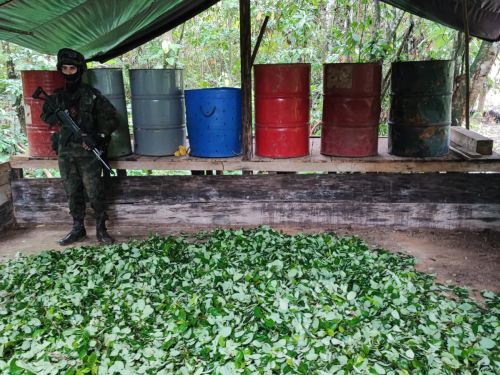 Operaciones contra el narcotráfico, son realizadas por sus  Fuerzas Militares en el suroriente colombiano