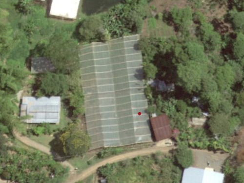 Incautadas más de dos toneladas de marihuana en operación de la Fuerza Pública