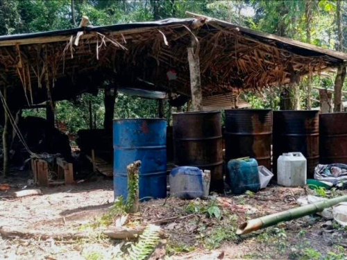 Reducción del narcotráfico en Vichada: dos laboratorios de pasta base de coca fueron neutralizados