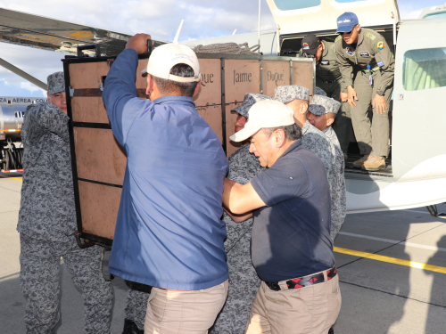 Jaguar de nueve años fue transportado a su nuevo hogar por la Fuerza Aérea Colombiana