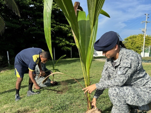 Fuerza Aérea impulsa la reforestación en el Archipiélago