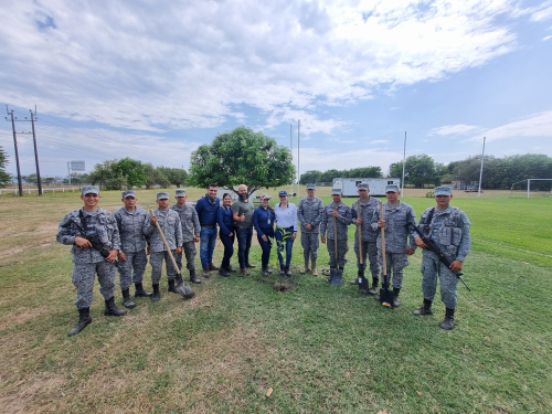 Reforestación en Contribución al Desarrollo Ambiental en Flandes, Tolima