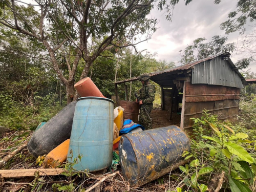 Redes del narcotráfico fueron debilitadas tras neutralización de dos laboratorios en Vichada