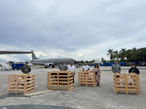 Cuatro cabras fueron trasladadas en aeronave de la FAC hasta San Andrés