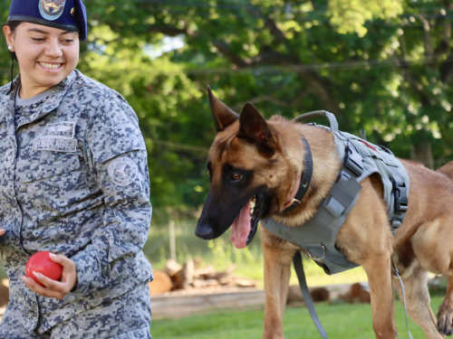 Seguridad y lealtad: la dupla perfecta entre Leif y su guía canino