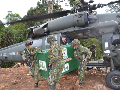 Pumas vuelven a la libertad Fuerza Aérea Colombiana protege la Biodiversidad