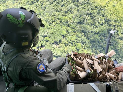 Reforestación aérea: Una esperanza para la recuperación de  la Amazonía colombiana 