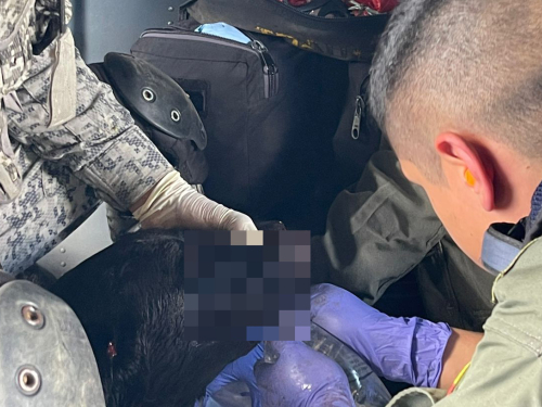 Rescate aéreo de un héroe canino y su guía