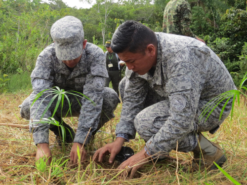 Trabajo interinstitucional permite siembra de 1500 plántulas en el Amazonas