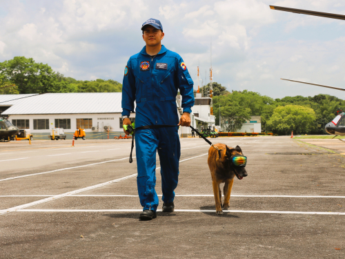 Emy, la nueva aliada canina que protege los cielos del Tolima