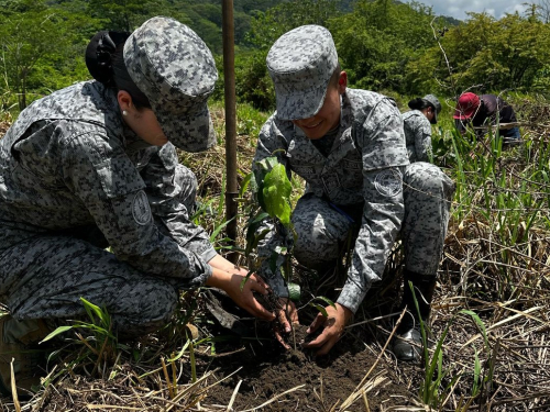 600 árboles para la vida: compromiso ambiental en Yopal