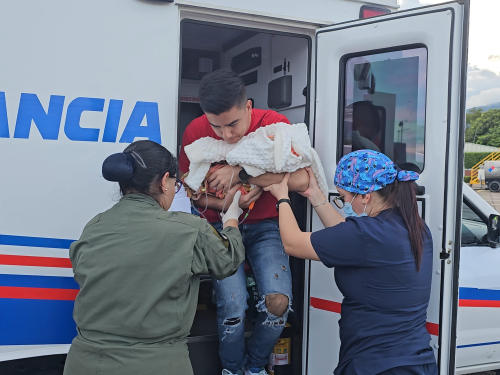 Misión aérea salvó la vida de recién nacida trasladada de urgencia en Casanare
