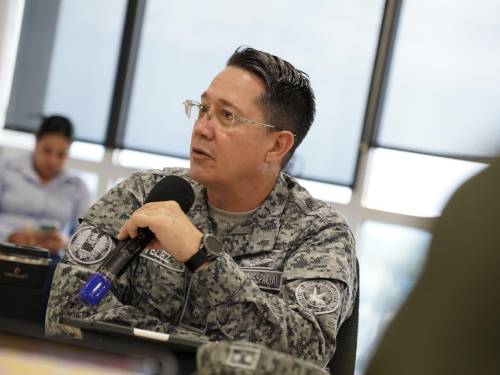 Consejo de seguridad fortalece las operaciones en defensa del pueblo llanero