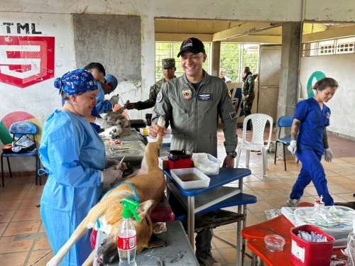 Jornada de esterilización fortalece bienestar animal en Tarapacá