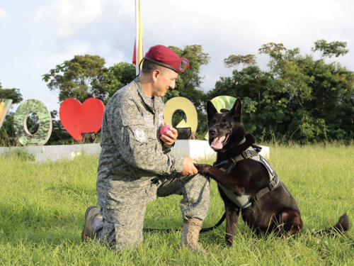  Guías caninos, un equipo estratégico para la seguridad y protección del territorio nacional