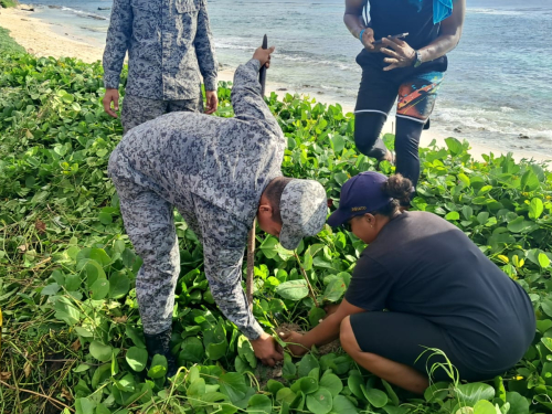 Siembra y limpieza ambiental en apoyo al archipiélago