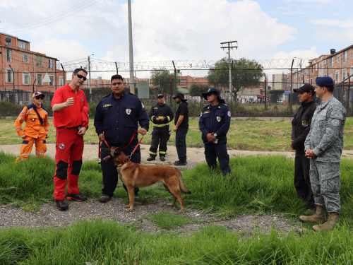 Caninos militares fortalecen capacidades de búsqueda y rescate mediante cooperación técnica internacional